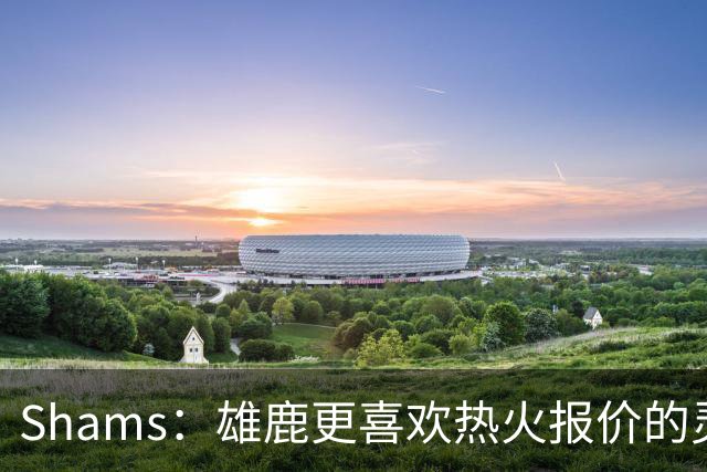 Shams：雄鹿更喜欢热火报价的灵活性和潜力 不想要29岁的布朗